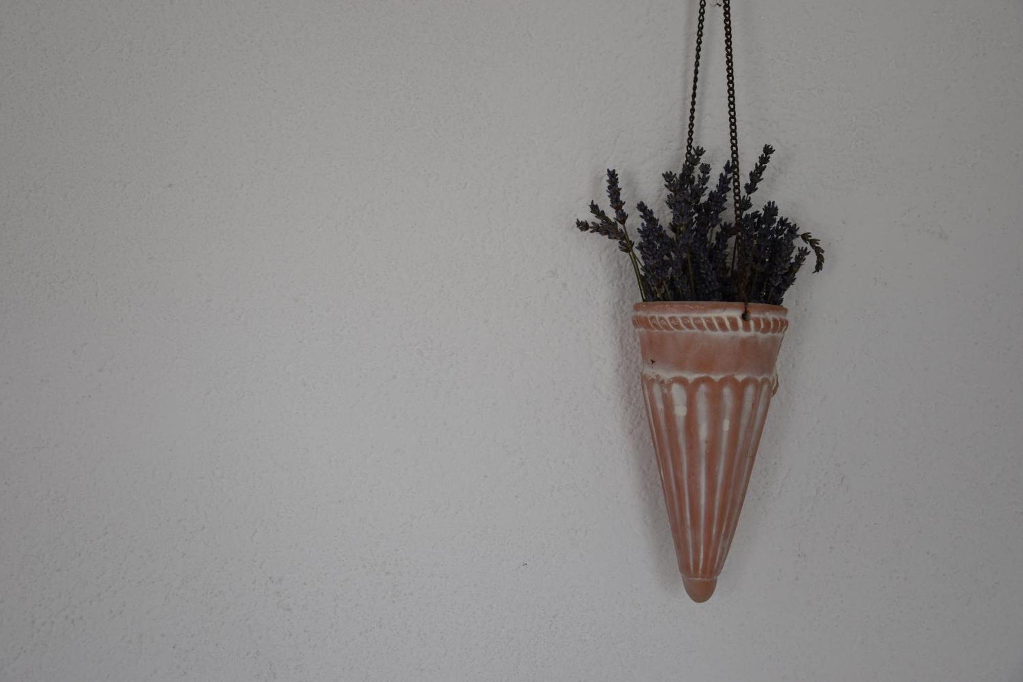 Apartment Mono Kai Triangle Trogir